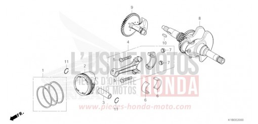 VILEBREQUIN/PISTON NSS350AR de 2024